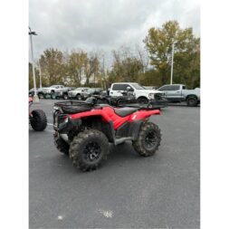 2020 Honda FourTrax Rancher 4x4 EPS